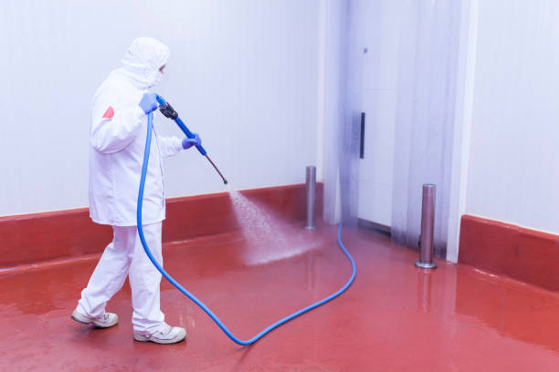 Trusted Lawrenceville, NJ Pressure Washing Services Experts
